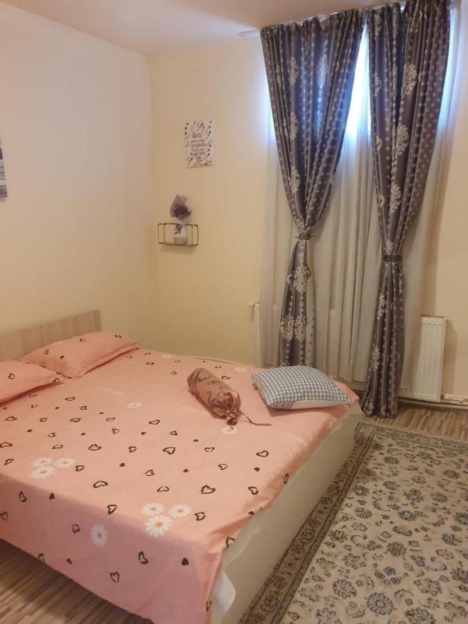 Hotel Relax Haus Hunedoara Zewnętrze zdjęcie