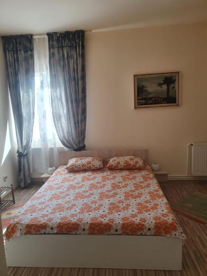Hotel Relax Haus Hunedoara Zewnętrze zdjęcie